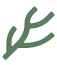 icone veine